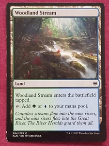 Magic The Gathering IXALAN WOODLAND STREAM land card MTG - Imagen 1 de 2