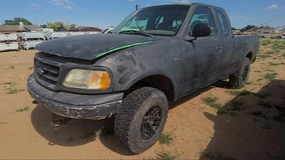 Manija de puerta exterior trasera usada se adapta a: Ford F150 2000 pickup portón trasero sin portón trasero Foto 1 de 4