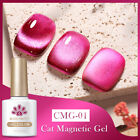 BORN PRETTY 10ml Gel Nail Polish Jelly Amber Cat Magnetic Gel Polish Super Top
