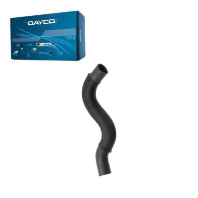 Manguera de refrigerante de radiador Dayco inferior para Lexus LS460 2007-2012 Foto 1 de 2