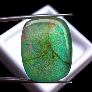 Certified Monarch Doublet Opal Cabochon Rectangle Shape 21.75Ct Gemstone JM018 - Picture 1 of 9