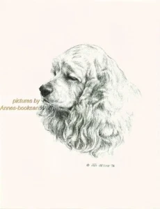 #124 GOLDEN COCKER SPANIEL dog art print * Pen and ink drawing * Jan Jellins - Picture 1 of 1