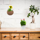  Coconut Shell Flowerpot Lanyard Home Decor Pots For Indoor Plants