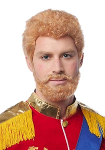 Prince Wig and Beard - Picture 1 of 1