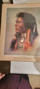 BILL HAMPTON NATIVE AMERICAN 20 X 16 PRINT - Picture 1 of 5