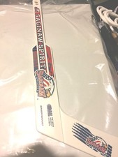 OHL CHL SAGINAW SPIRIT MINI GOALIE HOCKEY STICK