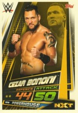 2019 WWE Slam Attax UNIVERSE - RAW SMACKDOWN NXT LEGENDS & 205 LIVE cards 