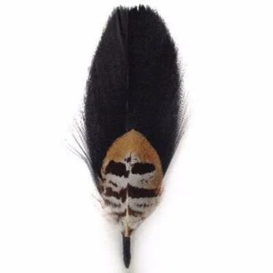 New Feather Hat Mount - Style 11 - Wholesale Feathers & Craft Supplies - Foto 1 di 1