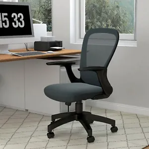 Ergonomic Mesh Office Chair with Adjustable Arm, Lumbar Back Support - Picture 1 of 11