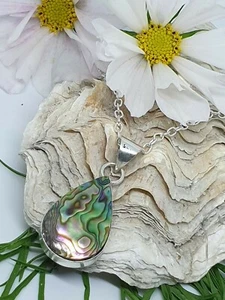 Großer Abalone Anhänger Halskette versilbert atemberaubend bunt Ab14 - Bild 1 von 5