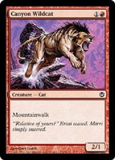 CANYON WILDCAT X4 4 4X Ajani vs Nicol Bolas MTG Magic Cards DJMagic