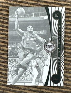 Antoine Walker 2005-06/225 Topps primera fila blanco y negro #59 - Imagen 1 de 2