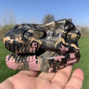 400g natürlicher Rhodonit Jaspis Quarz geschnitzt Dinosaurier Schädel Kristall Reiki.Xk5176 - Bild 1 von 15