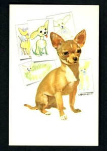 #626 Tolle Postkarte "Chihuahua" von R.E. Lougheed Bilder auf der Rückseite unbenutzt - Bild 1 von 2