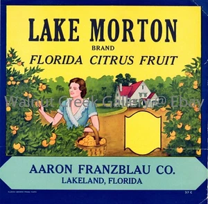 Florida Kiste Etikett Kunstdruck, Hain, ca. 10,8"x 11" 13074 - Bild 1 von 1