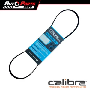 Calibre Alternator Belt fits Ford Falcon ED 4.0L 08/1993 - 08/1994 | 3PK895 - Picture 1 of 1