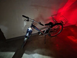 24 Zoll Kinderfahrrad Pegasus 3-Gang Nabenschaltung - Vollfunktionsfähig - Bild 1 von 18