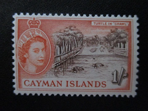 Cayman Islands #146 Mint Hinged - WDWPhilatelic (6-23) Cover