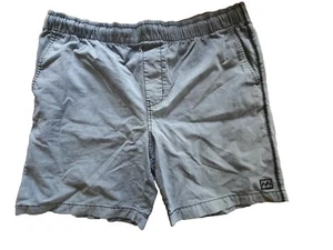 Billabong Platinum X Lightweight Surfing Board Shorts Boardies Men's Medium.  - Picture 1 of 5
