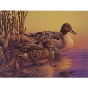 Seelenverwandte von Joseph Thornbrugh Druck Montana Ducks unbegrenzt Cabincore rustikal - Bild 1 von 11