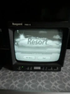 Monitor de seguridad CRT blanco y negro Ikegami PM9-5 9" - Imagen 1 de 9