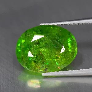 4.88Ct Oval_Flashing Natural Green Demantoid Garnet Gemstone - Picture 1 of 1