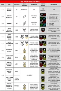 U.S. NAVY ENLISTED RATES POSTER 24 X 36 Inches - Picture 1 of 2