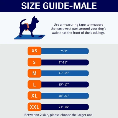 Bandas para el vientre para perros machos, paquete de 3 pañales reutilizables para perros macho para cachorro perro,... Foto 1 de 4