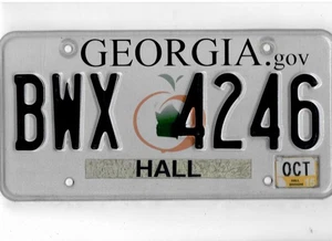 GEORGIA Beifahrerkennzeichen 2015 "BWX 4246" ***HALLE*** - Bild 1 von 1