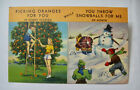 Two 1940 era Florida Views of West Palm Beach and Picking Oranges Postcards