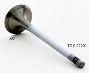 Se adapta 02 03 04 05 06 VW Audi 1.8L Turbo 20V AWP- 12 VÁLVULAS DE ADMISIÓN Y 8 DE ESCAPE - Imagen 1 de 2
