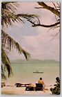 Greetings St Thomas Us Virgin Islands Scenic Beachfront Chrome Postcard