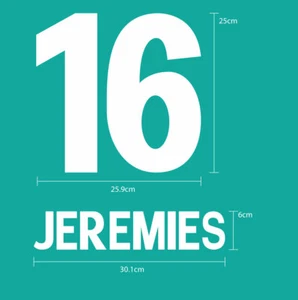 FC BAYERN 2001-02 HOME EXCELLENT QUALITY FLOCK VELVET CUSTOMIZED PRINT  - Picture 1 of 13