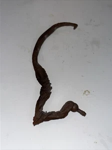 Marvel Legends BAF Queen Brood Left Leg Front#O-920 - Picture 1 of 1