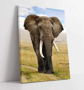 ELEFANTE 2 LIENZO GRANDE ARTE DE PARED EFECTO FLOTADOR/MARCO/IMAGEN/IMPRESIÓN DE PÓSTER-GRIS - Imagen 1 de 21
