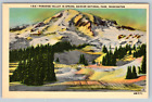 Park Winter Valley Rainier National Jou Spring Upper ok. 1940. vintage pocztówka