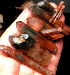62g 5 Himalayas Phantom 'Green red Ghost' Lemuria QUARTZ Crystal Point r52 - Imagen 1 de 6
