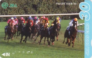 RARE carte JAPON - ANIMAL - CHEVAL de Course - RACING HORSE - JAPAN JRA card - Imagen 1 de 1