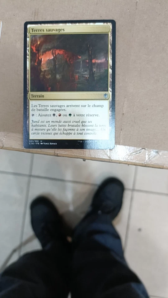 4xSavage Lands (Commander 2016) Non English - Image 1 of 1