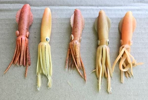 Tintenfisch Jig - 6" Rigged mit Drillinge Haken - Tackle - Menge = 2 Salzwasser Laser Tintenfisch - Bild 1 von 1