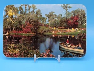 1960er - Amerikas tropisches Wunderland Florida Zypressengärten Postkarte (unverpackt) - Bild 1 von 2