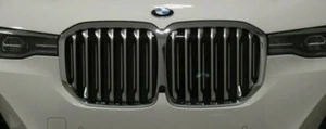 BMW Brand 2019-2022 G07 X7 OEM Standard Chrome Front Grille Brand New - Picture 1 of 1