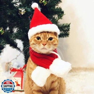 PETLESO Cat Santa Hat with Scarf, Christmas Hats for Cats Small Dog Santa Hat - Picture 1 of 5