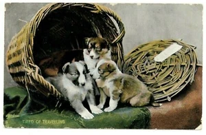 POSTAGE DUE - PECKHAM 1907 Tuck Postcard PUPPYDOM" with "1d" tax Handstamp DOGS - Picture 1 of 2