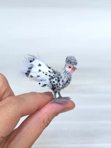 crested hen - Picture 1 of 11