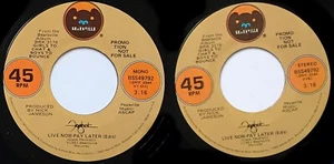 FOGHAT *VG* "LIVE NOW PAY LATER" 1981 US BEARSVILLE PROMO VINYL M/S 45 - Imagen 1 de 1