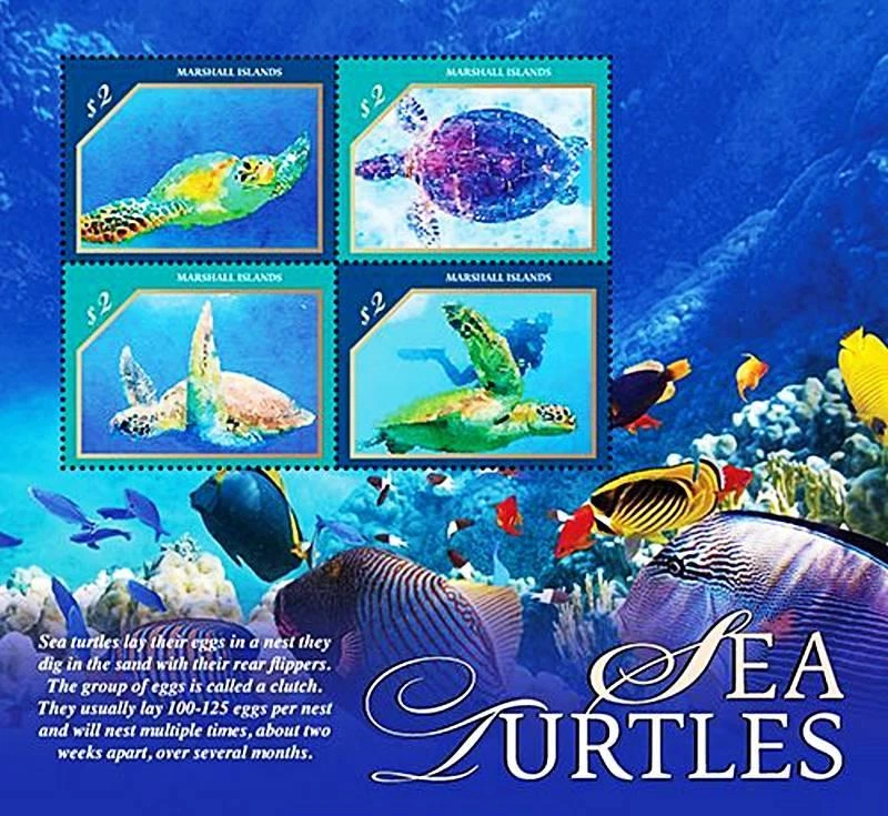 MARSHALLS 2020 TORTUES M/S Neuf Reptiles Animaux Poissons FRAIS D'EXPÉDITION - Photo 1/1