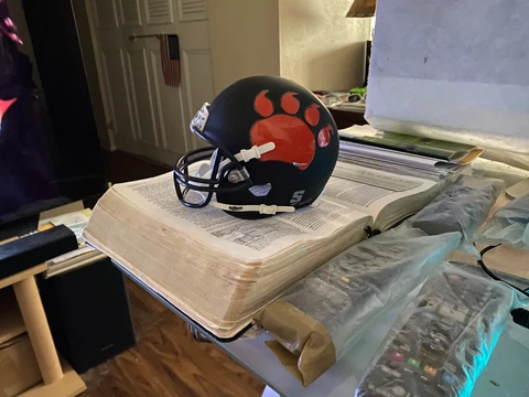 2013-14 British Columbia Lions mini helmet Cover