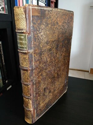 Peu courant 'Histoire du Mareschal de Matignon' De Cailliere Paris 1661 In-folio - Photo 1/4