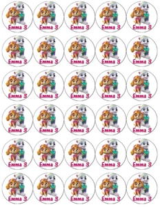 30 Skye And Everest Personalised Cupcake Toppers Edible Wafer Paper Fairy Cakes - Picture 1 of 3